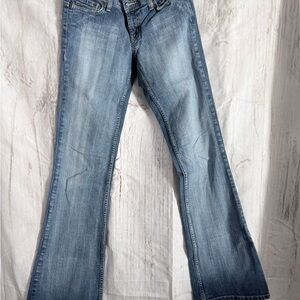 Express Light Blue Flare Jeans